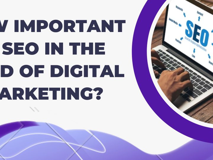How Important is SEO in the Field of Digital Marketing?